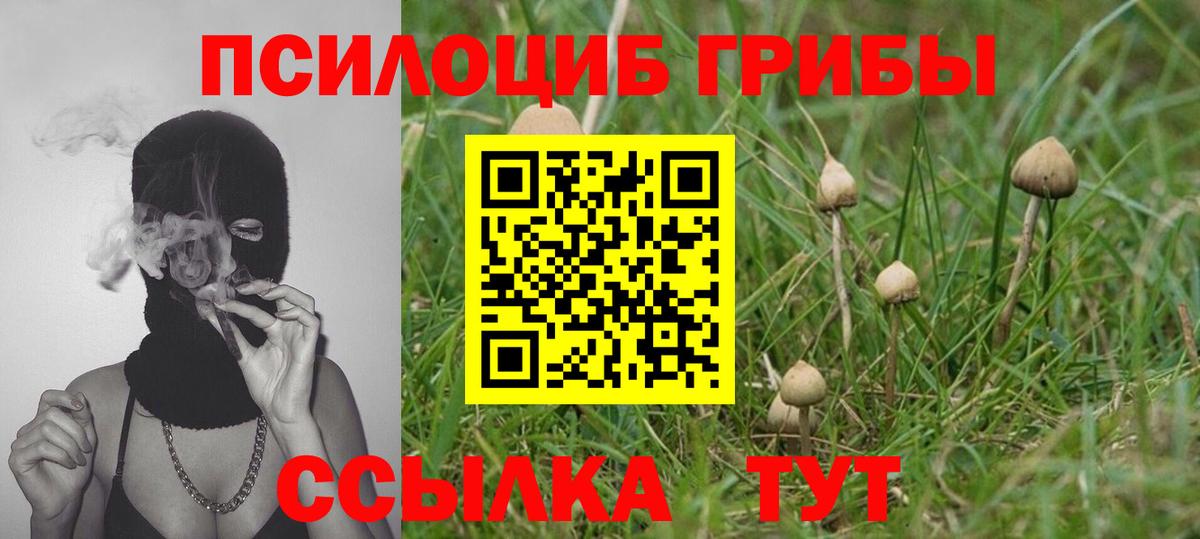 Саки  Псилоцибиновые грибы прущие грибы  Вход с VPN 
