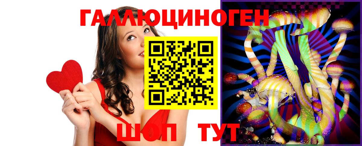Галлюциногенные грибы Psilocybe Саки